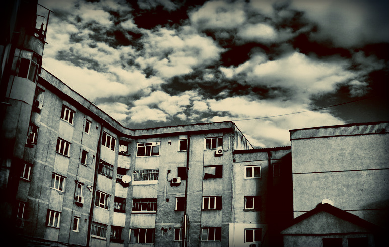 back_to_the_roots__by_w33do_Sandu Mihai Adrian_2