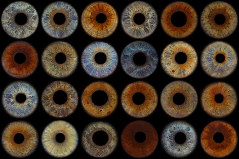 Diversity_by_DomPoulin_1