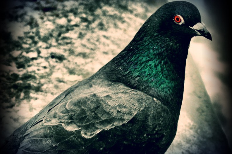 Original Photo by Michal Patek