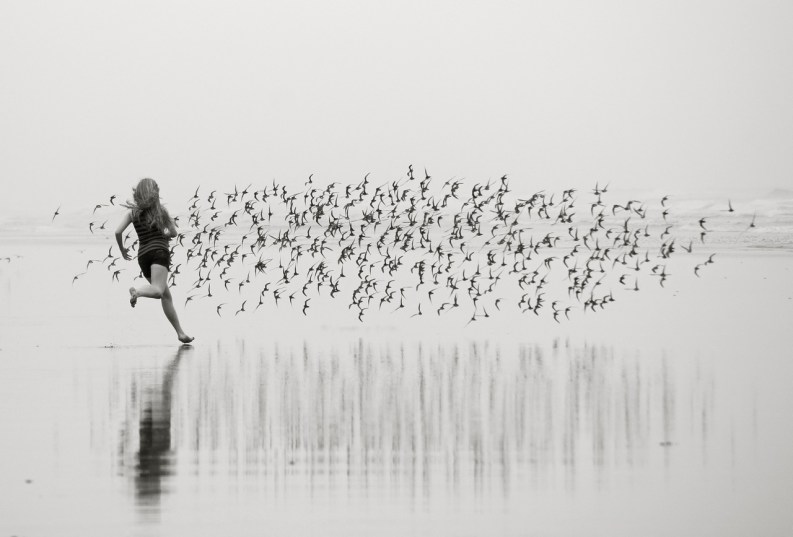 Original Photo by Sara Rose Gallo