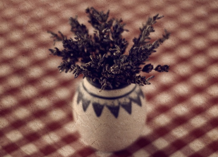 Original Photo by Michael Valimar