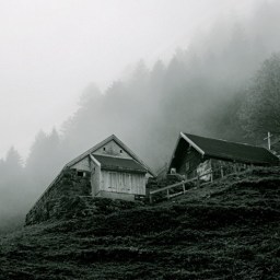 Richard, David und der Alte.