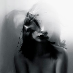 Spalten im Zwiespalt.