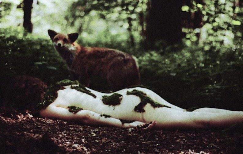 Original Photo by Laura Makabresku