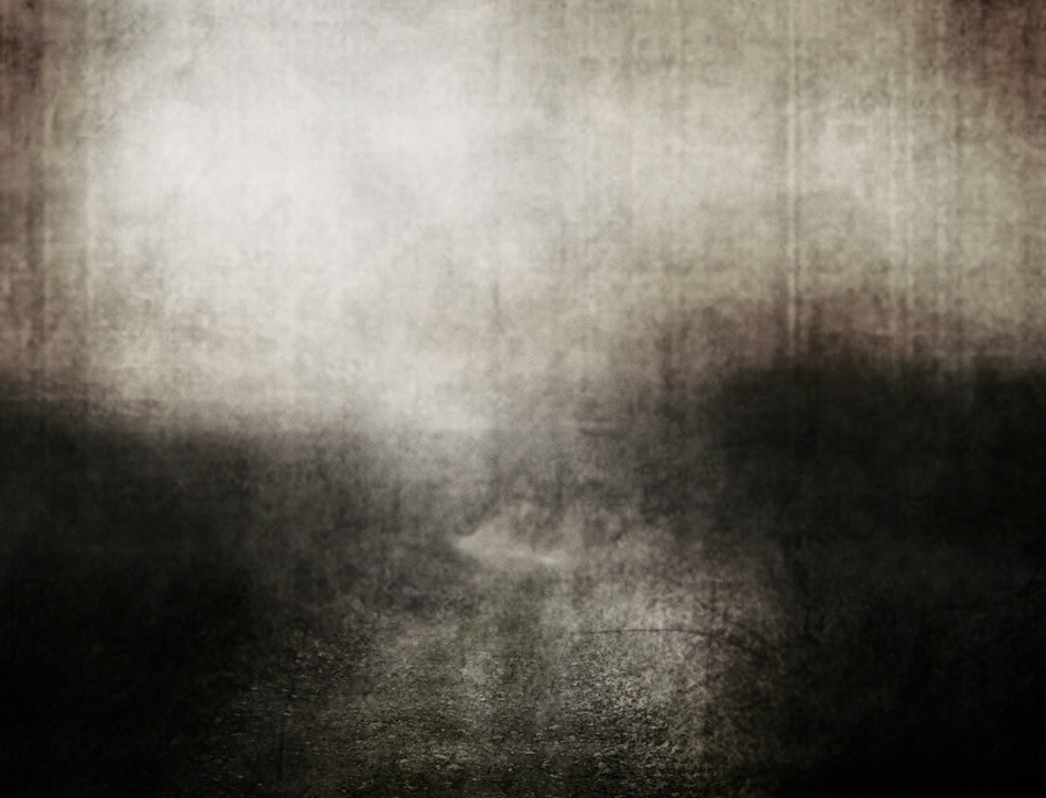 Original Photo by Violet Damyan