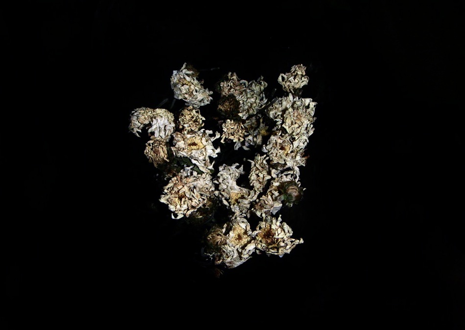 Original Photo by Serdar Diyebiri