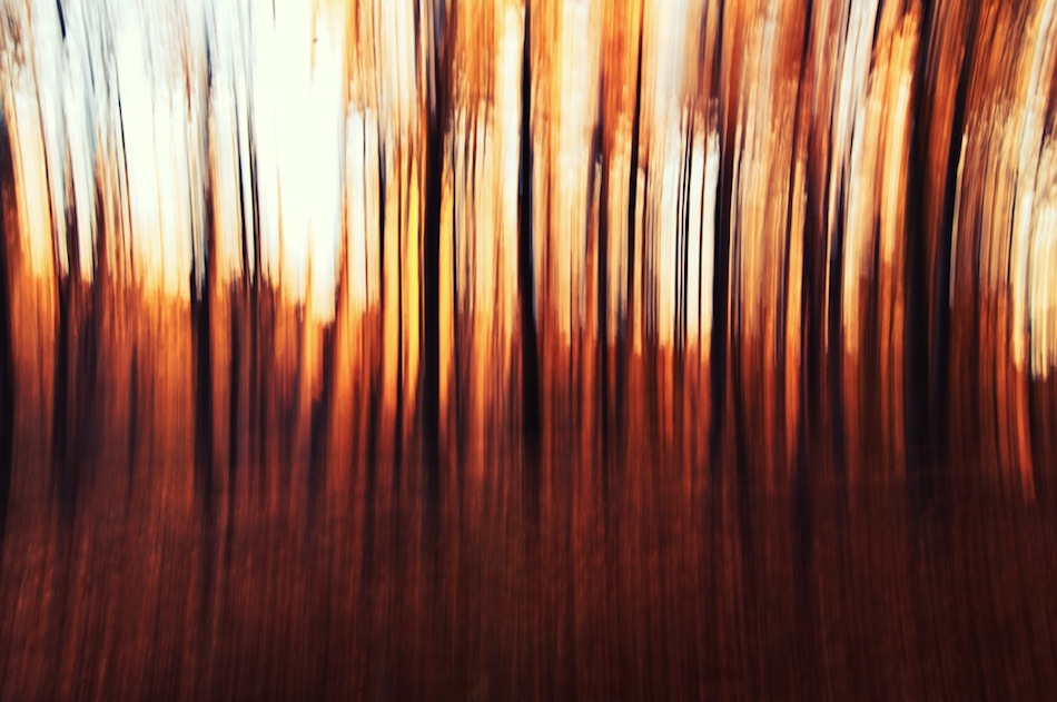 Original Photo by David Schermann