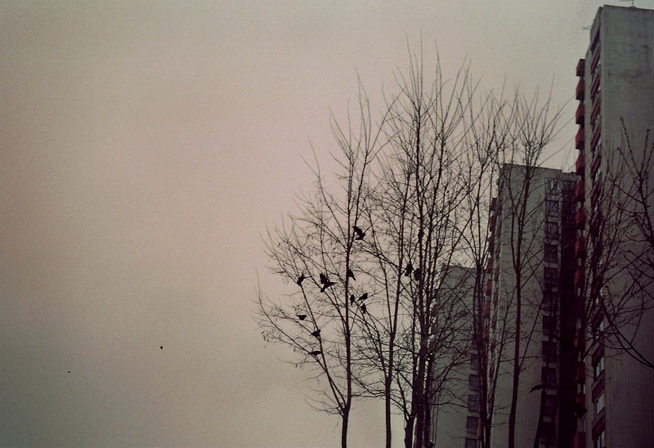 Original Photo by ShinyBootsOfLeather