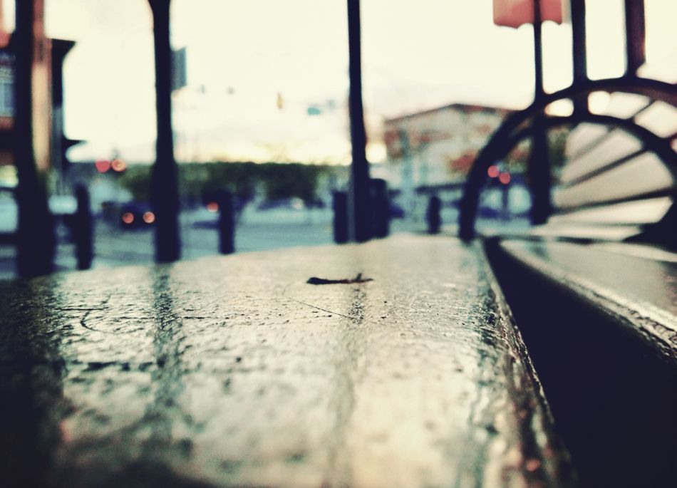 Original Photo by Candace Palmer