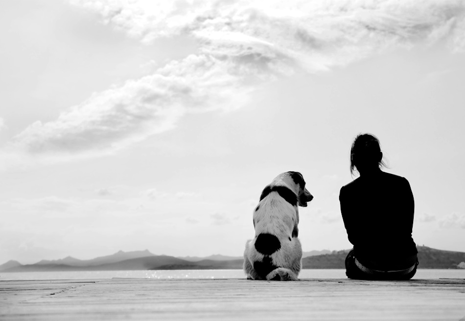 Original Photo by Idil Dizdar