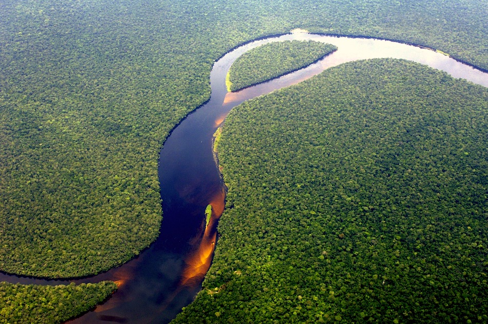 Original Photo by Thomas Einberger / Greenpeace