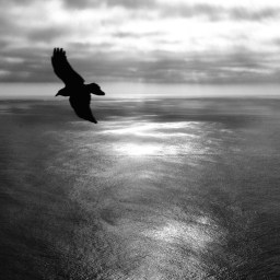 Ohrenbetäubend still.