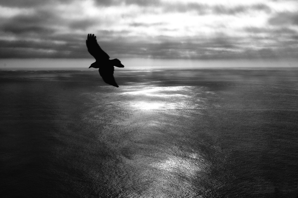 Original Photo by Ben Sam