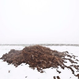 Brennende Dungklumpen.