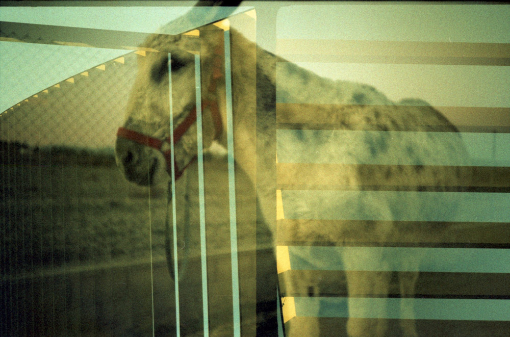 Original Photo by Ser Martinez (CC BY-ND 2.0)