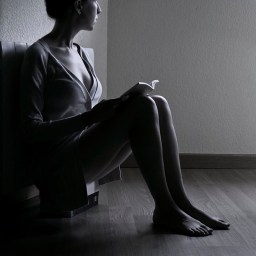 Das beste Buch der Welt.