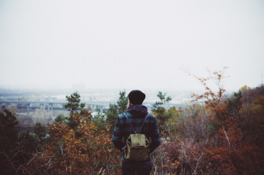 Original Photo by Angelina Litvin (Public Domain CC0 1.0)