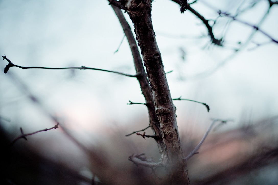 Original Photo by Pimthida (CC BY-NC-ND 2.0)