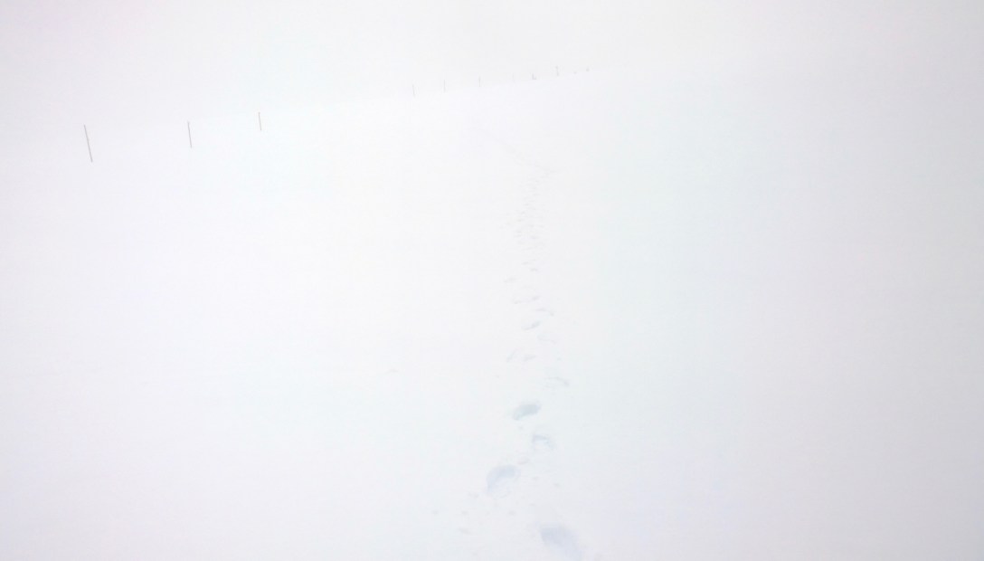 Original Photo by Ruth Hartnup (CC BY 2.0)