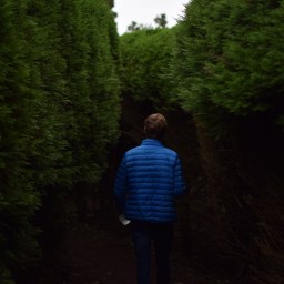 Herr S. und die Ausländer.