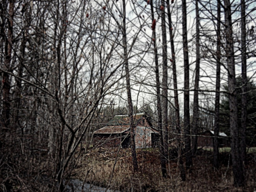 Original Photo by Diane Cordell (CC BY-NC-ND 2.0)