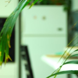 Die Glühbirne im Kühlschrank.