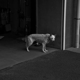 Eine Woche im Leben von Erwin Kuhn.