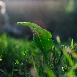 Mia erklärt die Welt.