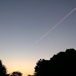 Das perfekte Versteck.